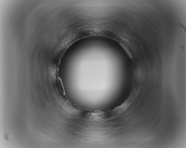 X0000099510188200805151509