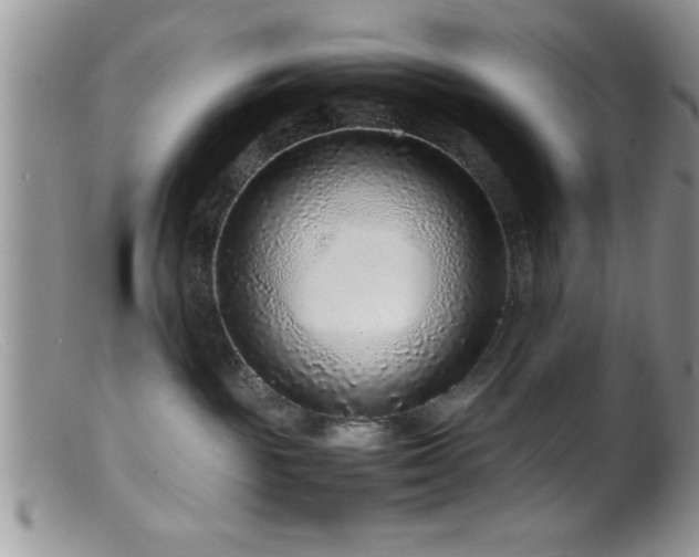 X0000099510189200805151509