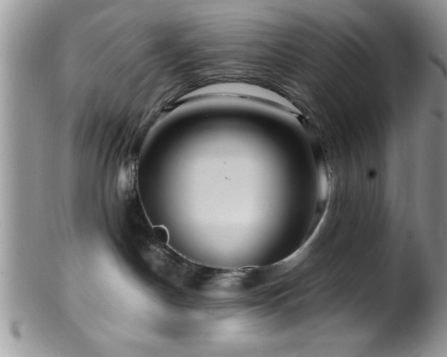 X0000099510190200805151509