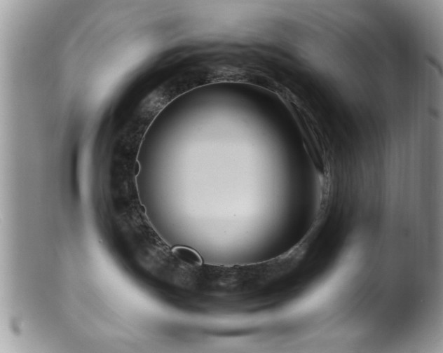 X0000099510191200805151509