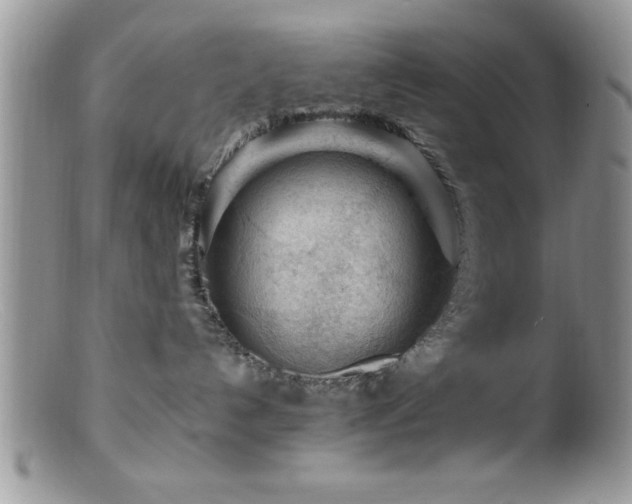 X0000099510192200805151509