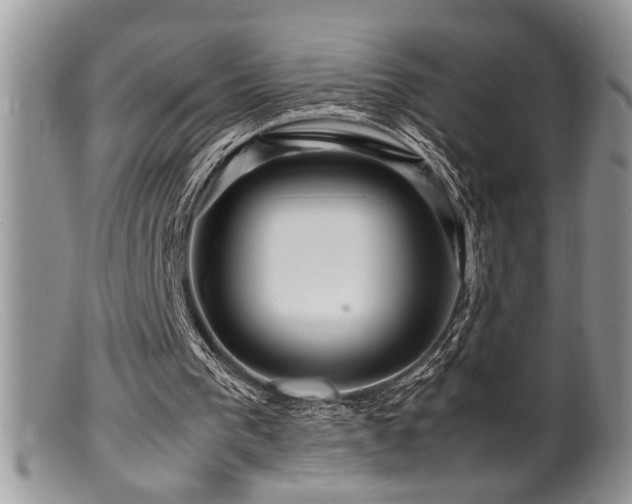 X0000099510193200805151508