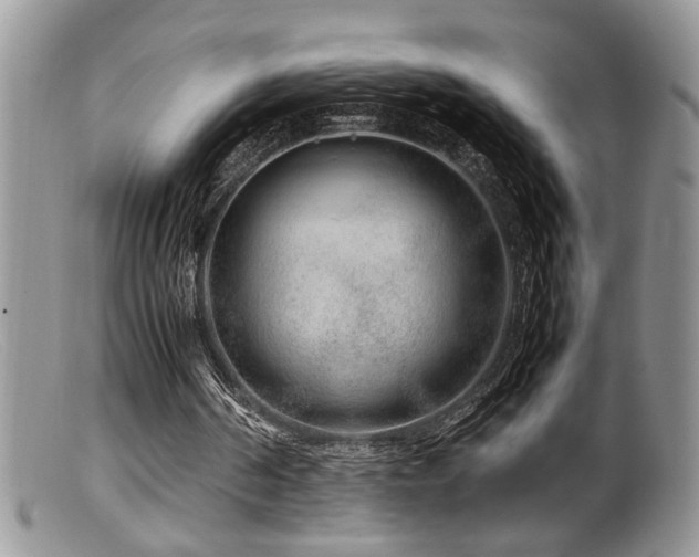 X0000099510194200805151508