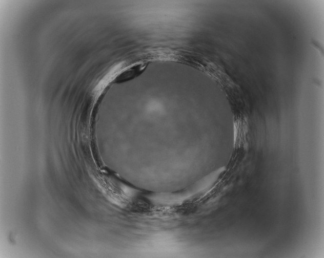X0000099510195200805151508