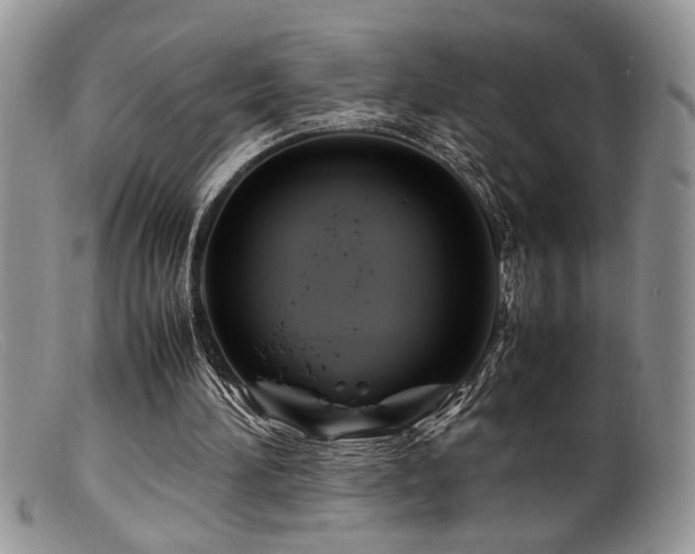 X0000099510196200805151508