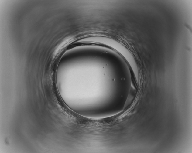 X0000099510197200805151508