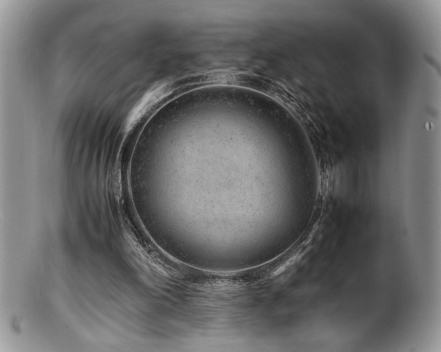 X0000099510198200805151508