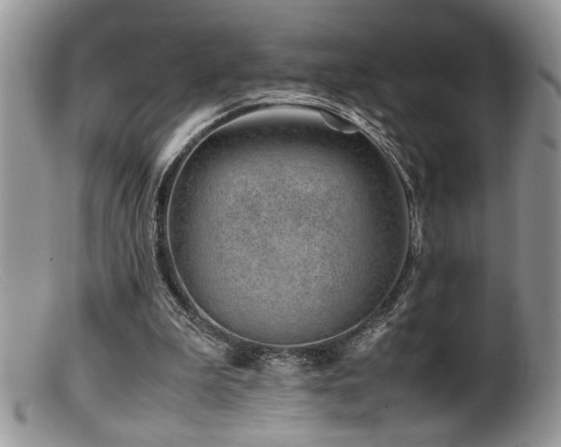 X0000099510199200805151508