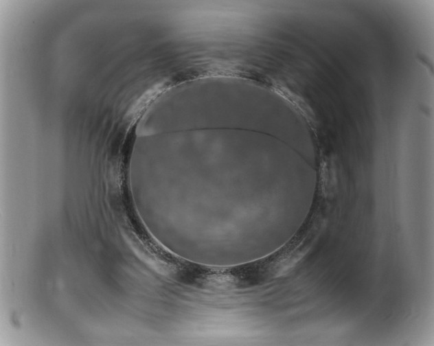 X0000099510203200805151508