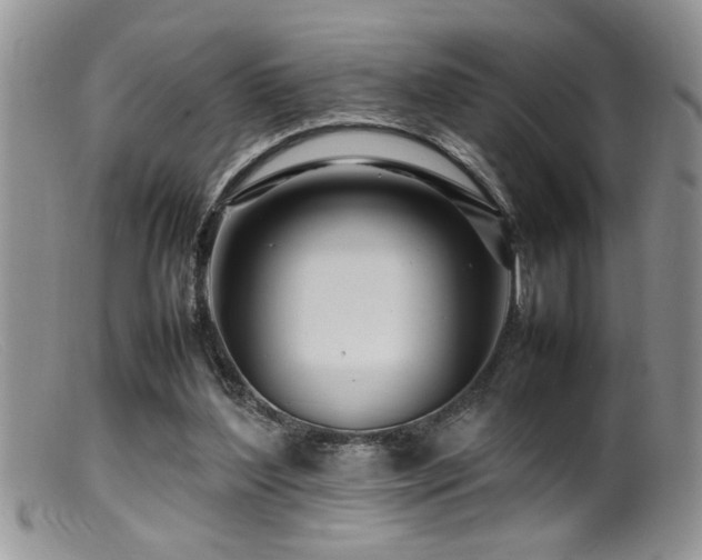 X0000099510204200805151508