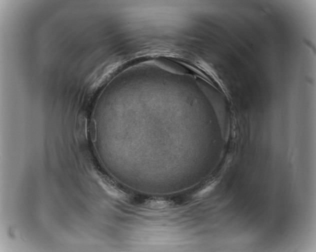 X0000099510205200805151508