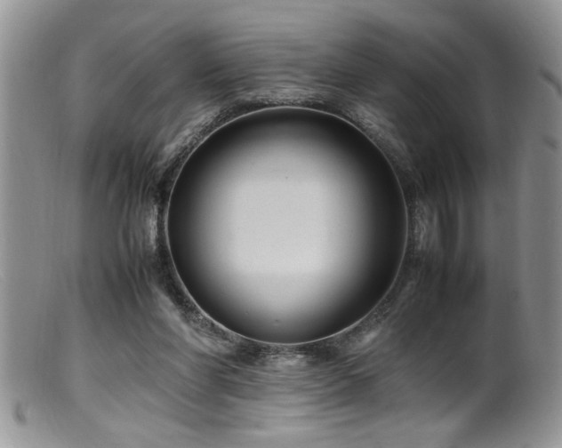 X0000099510206200805151508