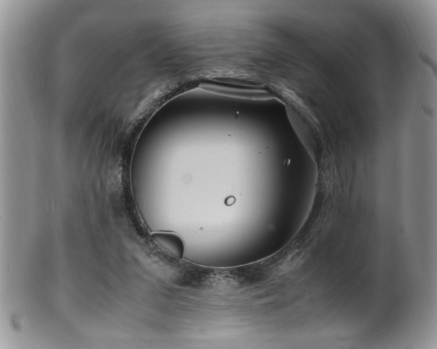 X0000099510207200805151508
