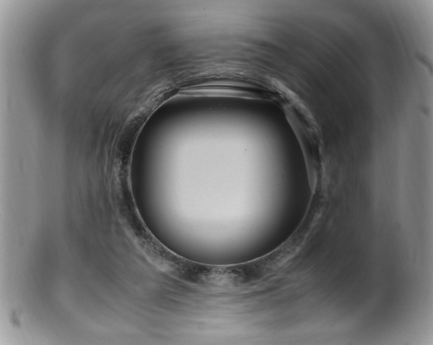 X0000099510209200805151508