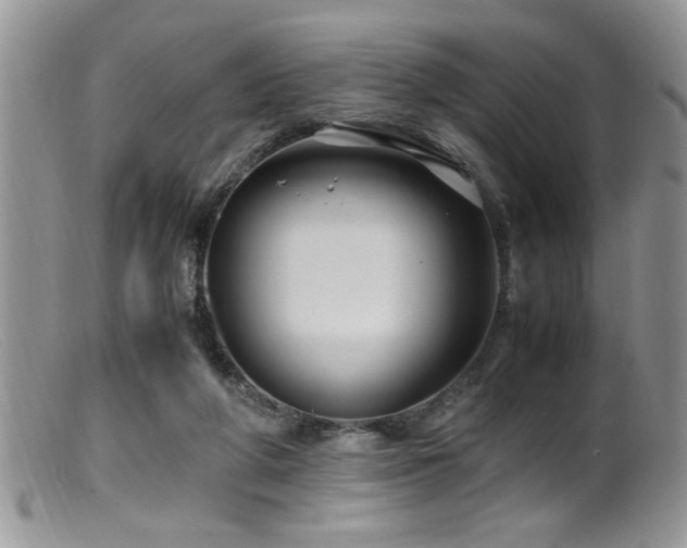 X0000099510210200805151508