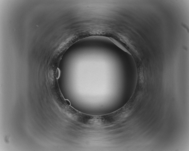 X0000099510211200805151508