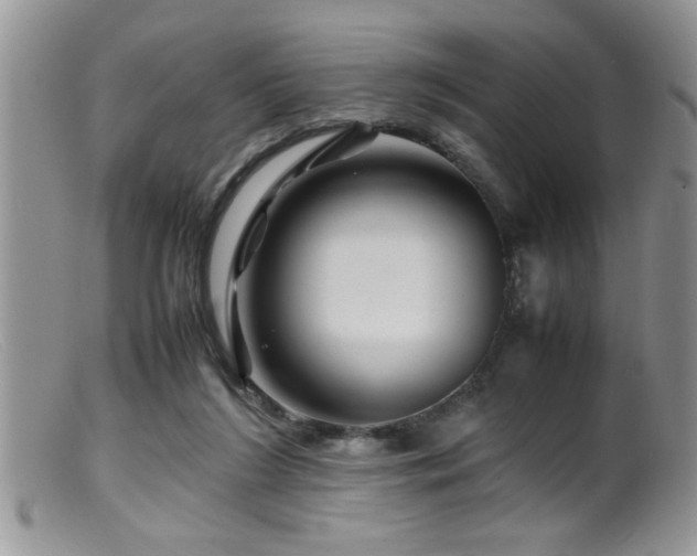 X0000099510212200805151508