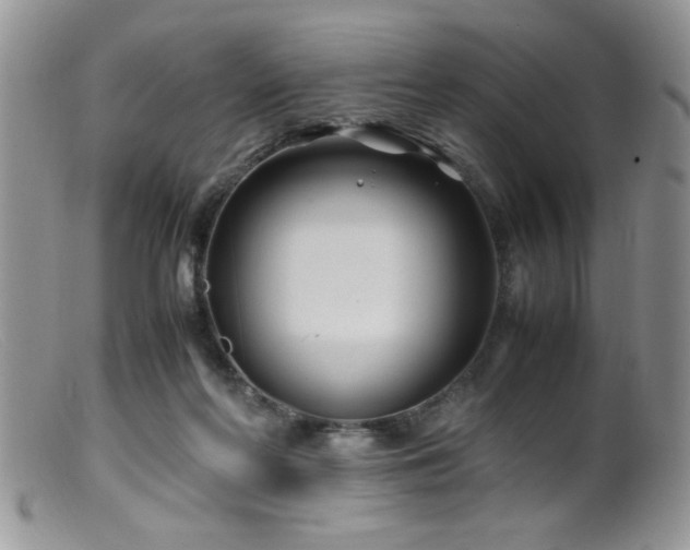 X0000099510214200805151508