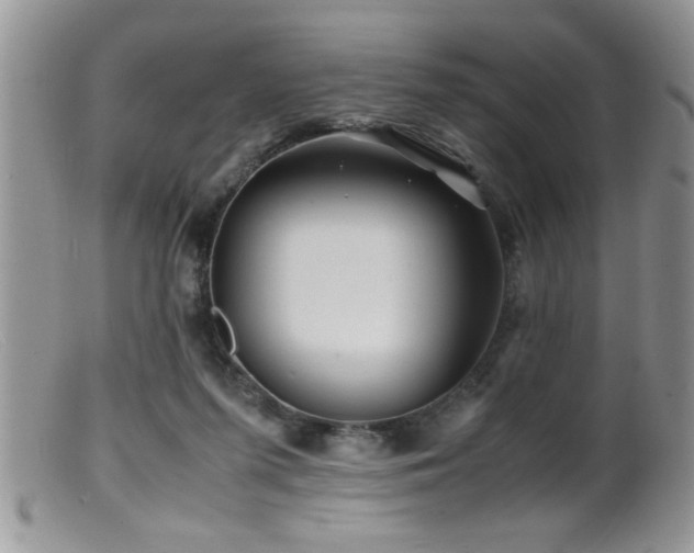 X0000099510215200805151508