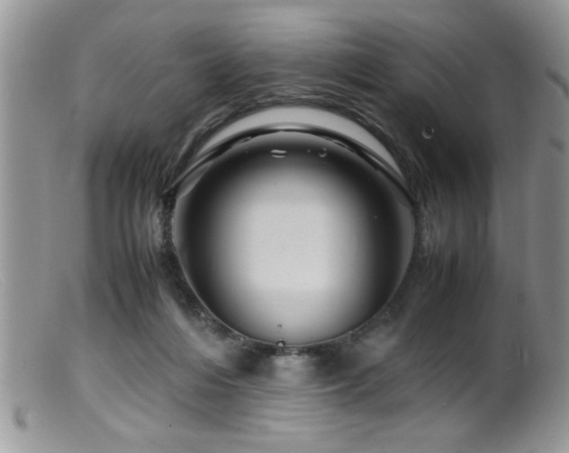 X0000099510216200805151508