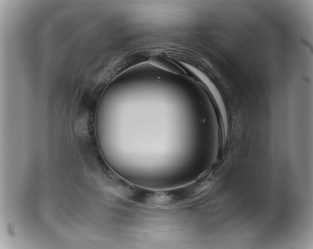 X0000099510217200805151508