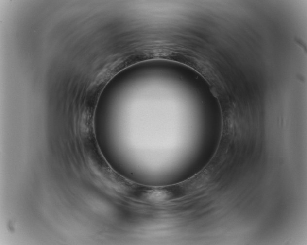 X0000099510218200805151508