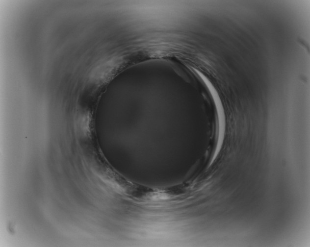 X0000099510219200805151508