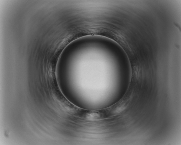 X0000099510220200805151508