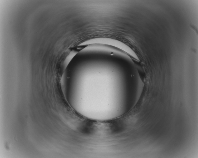 X0000099510221200805151508