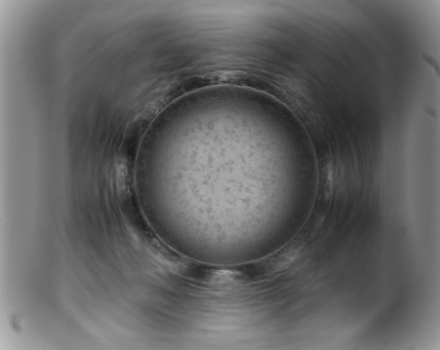 X0000099510222200805151508