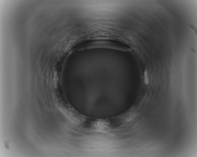 X0000099510223200805151508