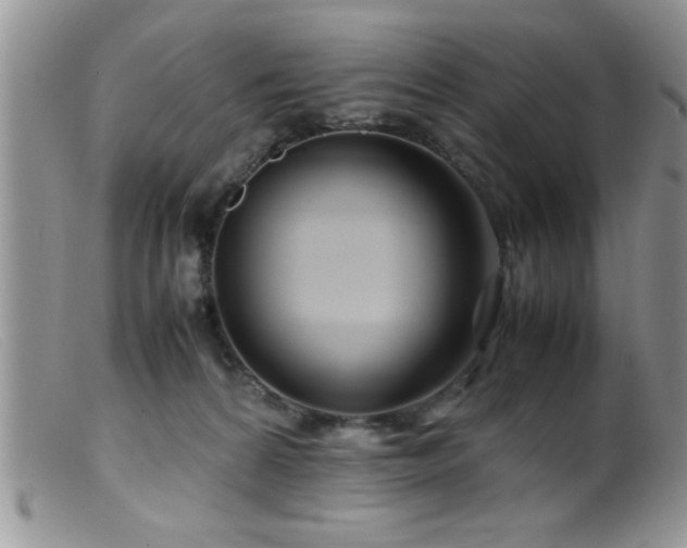 X0000099510224200805151508