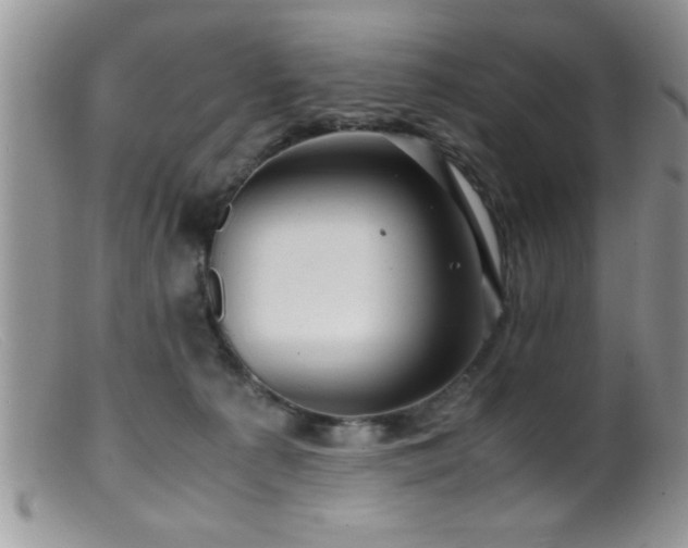 X0000099510225200805151508