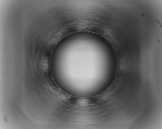 X0000099510226200805151508