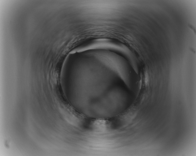 X0000099510227200805151508