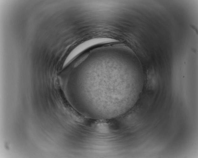 X0000099510228200805151508