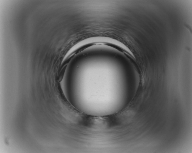 X0000099510229200805151508
