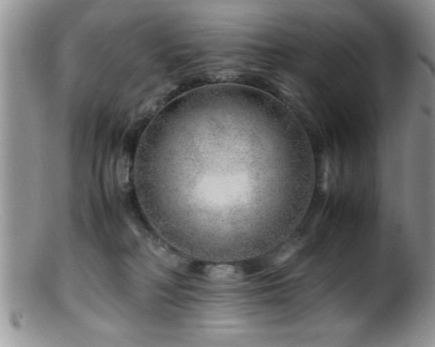 X0000099510230200805151508