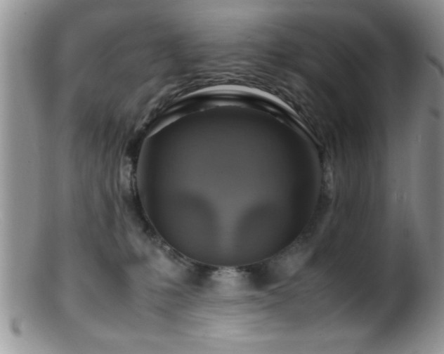 X0000099510231200805151508