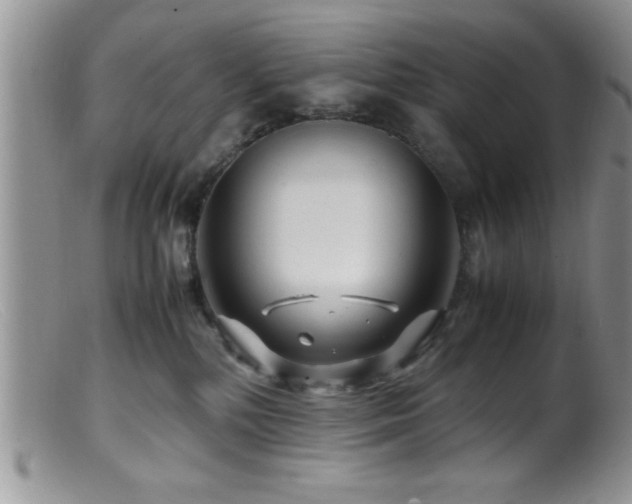 X0000099510232200805151508