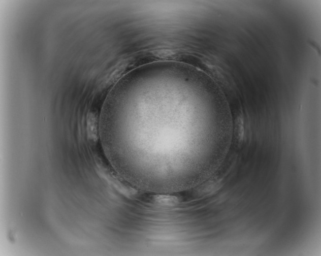 X0000099510234200805151508