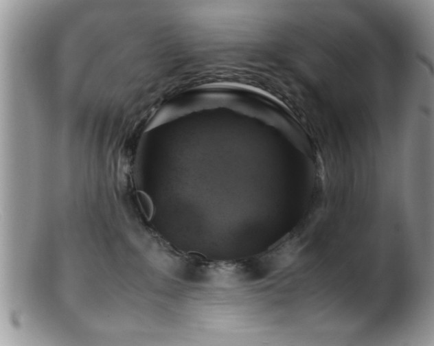 X0000099510235200805151507