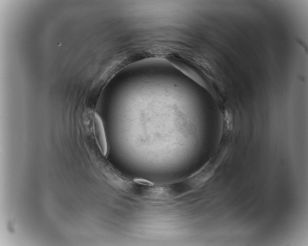 X0000099510237200805151507