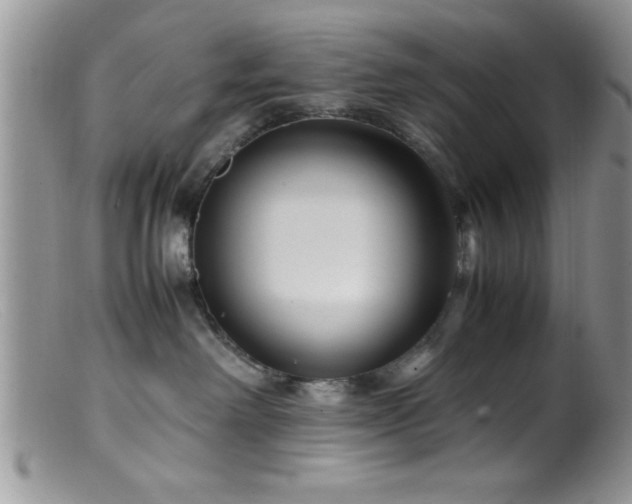 X0000099510238200805151507