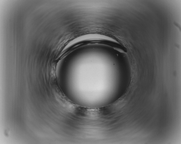 X0000099510240200805151507