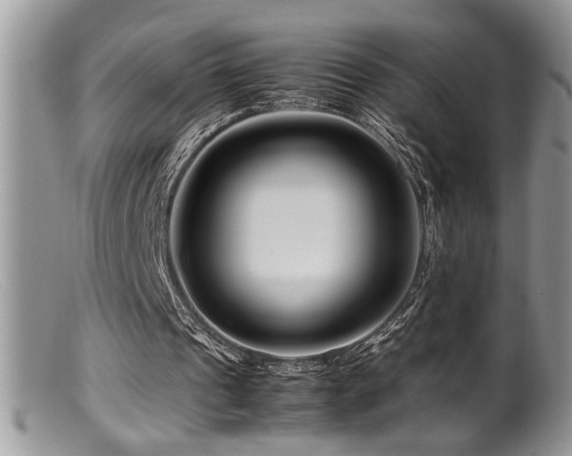 X0000099510241200805151507