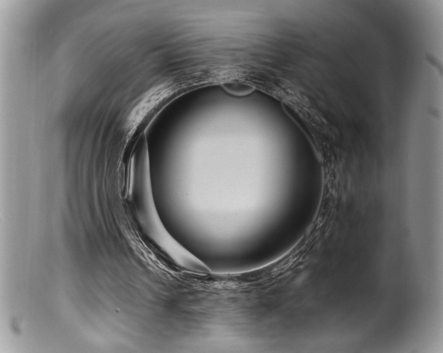 X0000099510242200805151507