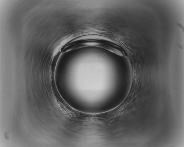 X0000099510244200805151507