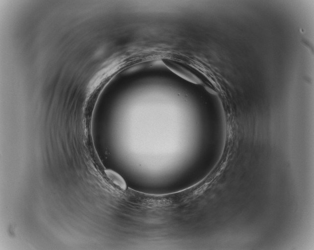 X0000099510245200805151507