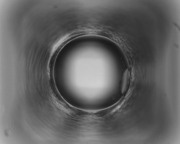 X0000099510246200805151507